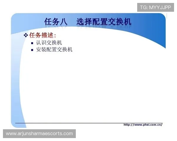 尊龙app登录线路选择指南帮助用户根据网络环境合理配置