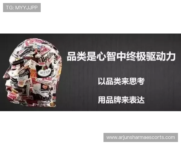 探讨尊龙5218品牌的历史渊源及其市场定位优势