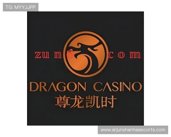 尊龙凯时平台怎么样用户评价和口碑反馈是否支持持续推荐