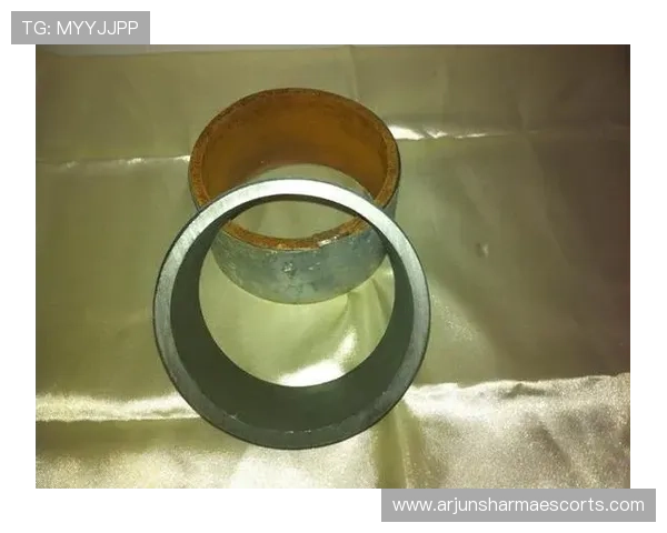 尊龙官方网站官网入口:最新安全登录指南与官方入口地址推荐