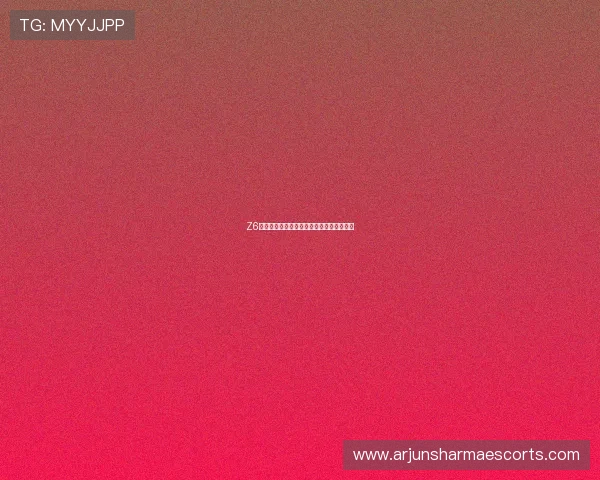 Z6娱乐平台注册流程详解及新手快速上手攻略