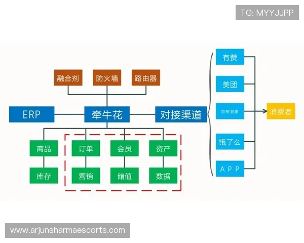 新用户必看：d88官网会员登录流程与特色功能介绍